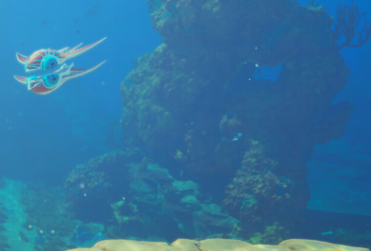 Cropped official Subnautica 2 Steam screenshot showing shallow reef fauna.