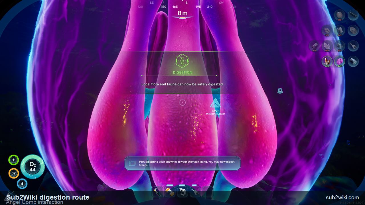 Subnautica 2 Angel Comb interaction that unlocks the Digestion gene.