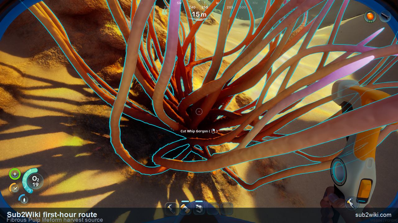 Subnautica 2 first-hour Fibrous Pulp harvest source shown on a living underwater organism.