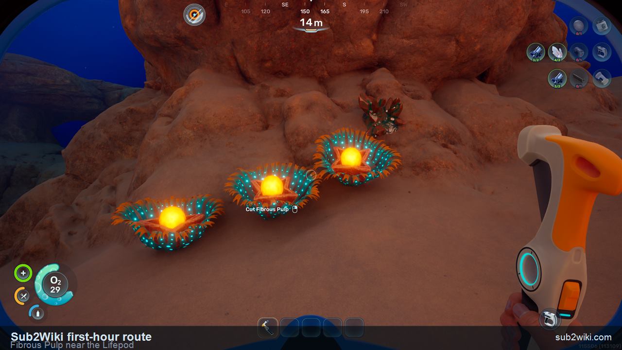 Subnautica 2 first-hour Fibrous Pulp starter pickup route near the Lifepod.